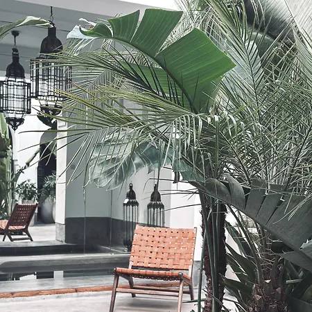 Riad Atay-2