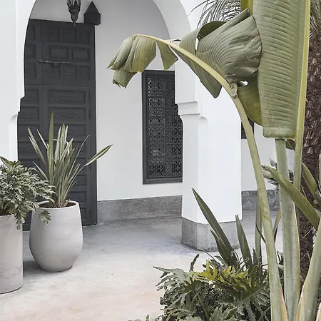 Riad Atay-2